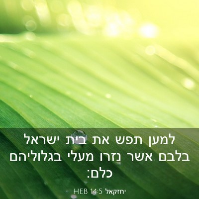 Picture 03 - יחזקאל 14:5 HEB - למען תפש את בית ישראל בלבם - Bible Verse Picture
