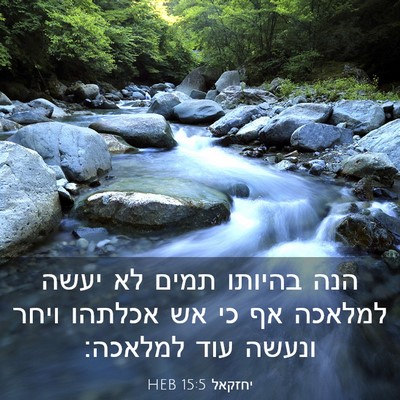 Picture 03 - יחזקאל 15:5 HEB - הנה בהיותו תמים לא יעשה - Bible Verse Picture