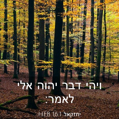 Picture 03 - יחזקאל 16:1 HEB - ויהי דבר יהוה אלי - Bible Verse Picture