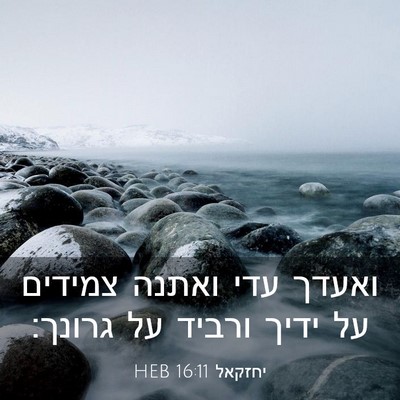 Picture 03 - יחזקאל 16:11 HEB - ואעדך עדי ואתנה צמידים על - Bible Verse Picture