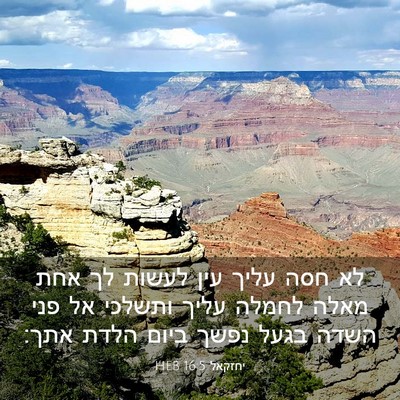 Picture 03 - יחזקאל 16:5 HEB - לא חסה עליך עין לעשות לך - Bible Verse Picture