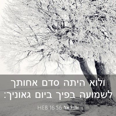 Picture 03 - יחזקאל 16:56 HEB - ולוא היתה סדם אחותך לשמועה - Bible Verse Picture
