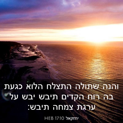 Picture 03 - יחזקאל 17:10 HEB - והנה שתולה התצלח הלוא כגעת - Bible Verse Picture