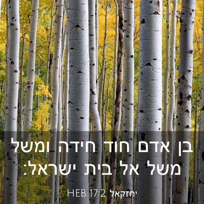 Picture 03 - יחזקאל 17:2 HEB - בן אדם חוד חידה ומשל משל אל - Bible Verse Picture