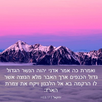 Picture 03 - יחזקאל 17:3 HEB - ואמרת כה אמר אדני יהוה הנשר - Bible Verse Picture