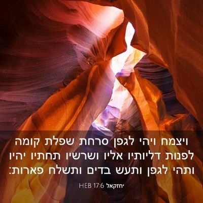 Picture 03 - יחזקאל 17:6 HEB - ויצמח ויהי לגפן סרחת שפלת - Bible Verse Picture