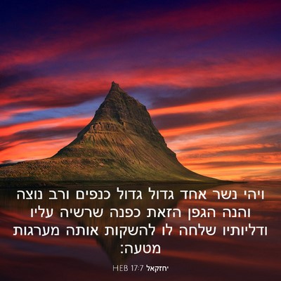 Picture 03 - יחזקאל 17:7 HEB - ויהי נשר אחד גדול גדול - Bible Verse Picture