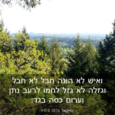Picture 03 - יחזקאל 18:16 HEB - ואיש לא הונה חבל לא חבל - Bible Verse Picture