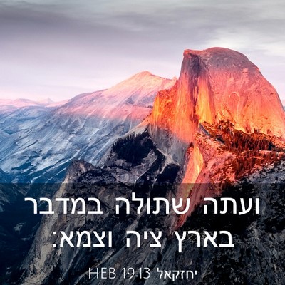 Picture 03 - יחזקאל 19:13 HEB - ועתה שתולה במדבר בארץ ציה - Bible Verse Picture