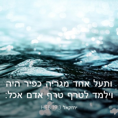 Picture 03 - יחזקאל 19:3 HEB - ותעל אחד מגריה כפיר היה - Bible Verse Picture