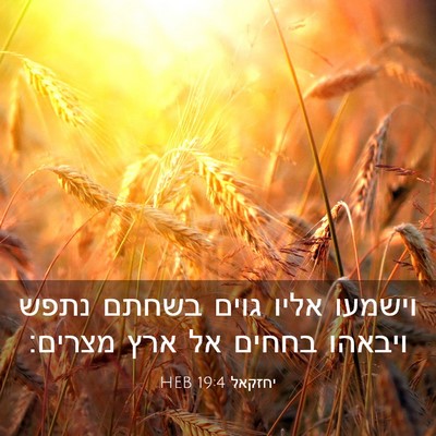 Picture 03 - יחזקאל 19:4 HEB - וישמעו אליו גוים בשחתם - Bible Verse Picture