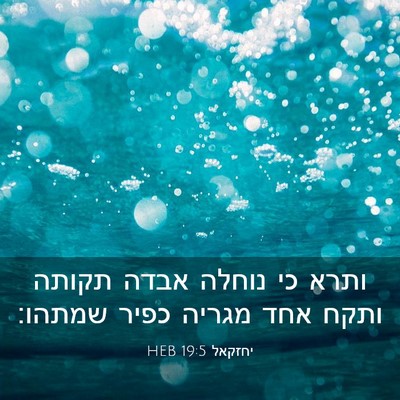 Picture 03 - יחזקאל 19:5 HEB - ותרא כי נוחלה אבדה תקותה - Bible Verse Picture