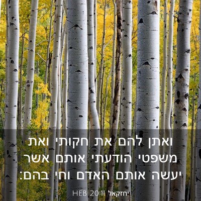 Picture 03 - יחזקאל 20:11 HEB - ואתן להם את חקותי ואת משפטי - Bible Verse Picture