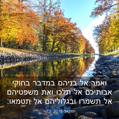 Picture 03 - יחזקאל 20:18 HEB - ואמר אל בניהם במדבר בחוקי - Bible Verse Picture