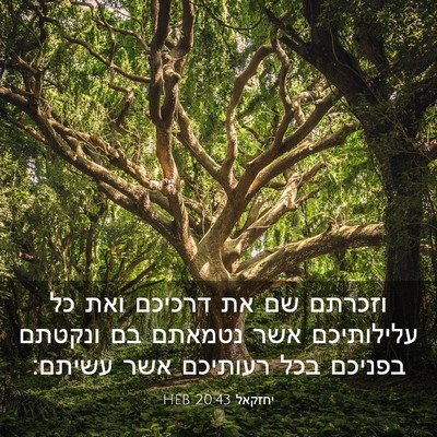 Picture 03 - יחזקאל 20:43 HEB - וזכרתם שם את דרכיכם ואת כל - Bible Verse Picture