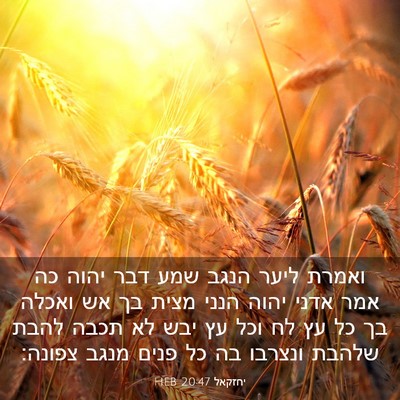Picture 03 - יחזקאל 20:47 HEB - ואמרת ליער הנגב שמע דבר - Bible Verse Picture