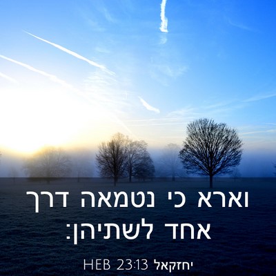 Picture 03 - יחזקאל 23:13 HEB - וארא כי נטמאה דרך אחד - Bible Verse Picture