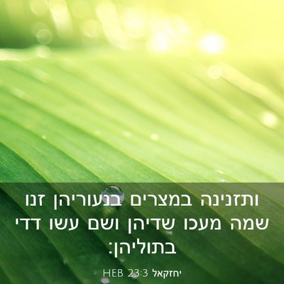 Picture 03 - יחזקאל 23:3 HEB - ותזנינה במצרים בנעוריהן - Bible Verse Picture