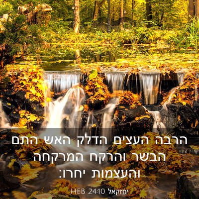 Picture 03 - יחזקאל 24:10 HEB - הרבה העצים הדלק האש התם - Bible Verse Picture