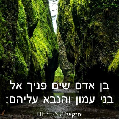 Picture 03 - יחזקאל 25:2 HEB - בן אדם שים פניך אל בני עמון - Bible Verse Picture