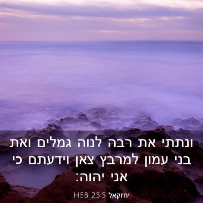 Picture 03 - יחזקאל 25:5 HEB - ונתתי את רבה לנוה גמלים ואת - Bible Verse Picture