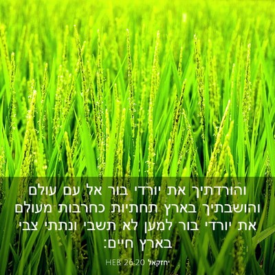 Picture 03 - יחזקאל 26:20 HEB - והורדתיך את יורדי בור אל עם - Bible Verse Picture