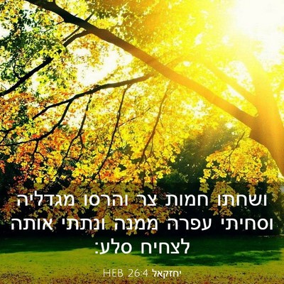 Picture 03 - יחזקאל 26:4 HEB - ושחתו חמות צר והרסו מגדליה - Bible Verse Picture