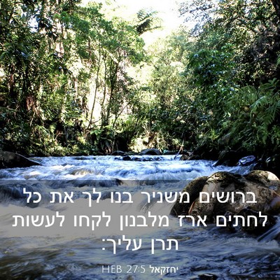 Picture 03 - יחזקאל 27:5 HEB - ברושים משניר בנו לך את כל - Bible Verse Picture