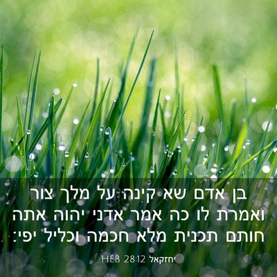 Picture 03 - יחזקאל 28:12 HEB - בן אדם שא קינה על מלך צור - Bible Verse Picture