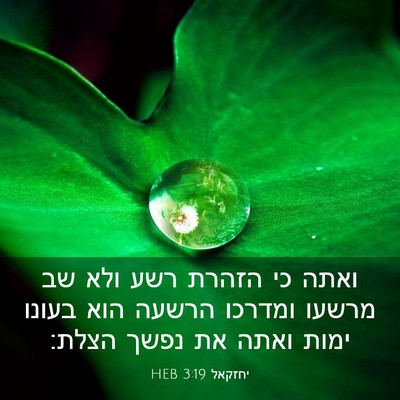 Picture 03 - יחזקאל 3:19 HEB - ואתה כי הזהרת רשע ולא שב - Bible Verse Picture
