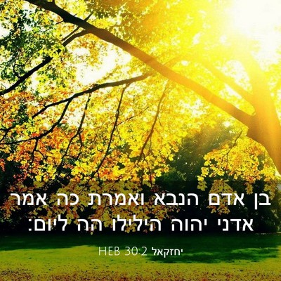 Picture 03 - יחזקאל 30:2 HEB - בן אדם הנבא ואמרת כה אמר - Bible Verse Picture