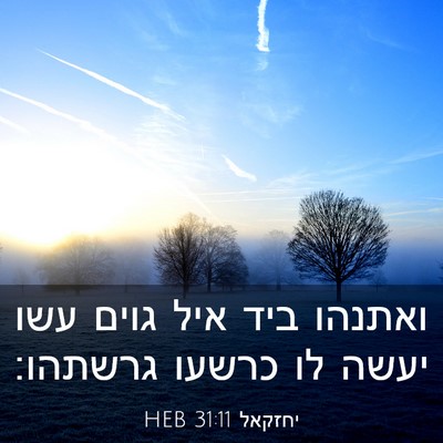 Picture 03 - יחזקאל 31:11 HEB - ואתנהו ביד איל גוים עשו - Bible Verse Picture