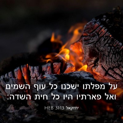 Picture 03 - יחזקאל 31:13 HEB - על מפלתו ישכנו כל עוף השמים - Bible Verse Picture