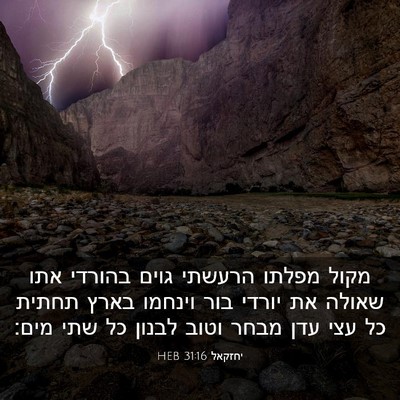Picture 03 - יחזקאל 31:16 HEB - מקול מפלתו הרעשתי גוים - Bible Verse Picture