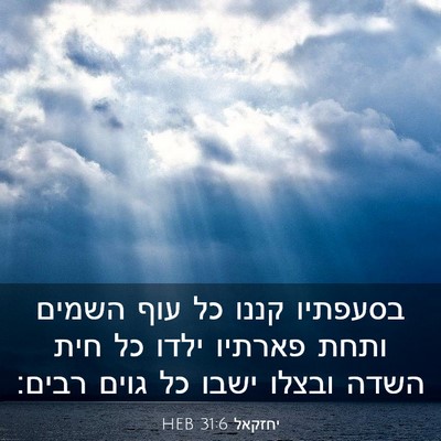 Picture 03 - יחזקאל 31:6 HEB - בסעפתיו קננו כל עוף השמים - Bible Verse Picture