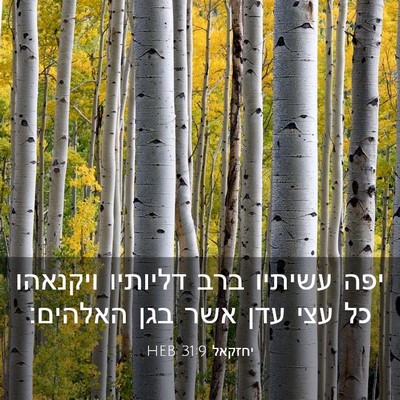Picture 03 - יחזקאל 31:9 HEB - יפה עשיתיו ברב דליותיו - Bible Verse Picture