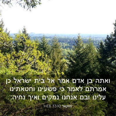 Picture 03 - יחזקאל 33:10 HEB - ואתה בן אדם אמר אל בית - Bible Verse Picture