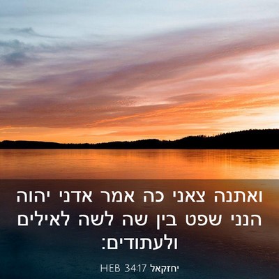 Picture 03 - יחזקאל 34:17 HEB - ואתנה צאני כה אמר אדני יהוה - Bible Verse Picture