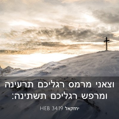 Picture 03 - יחזקאל 34:19 HEB - וצאני מרמס רגליכם תרעינה - Bible Verse Picture
