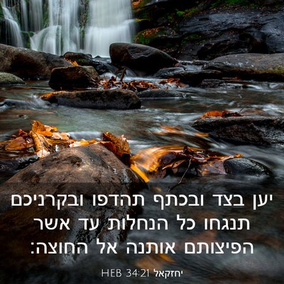 Picture 03 - יחזקאל 34:21 HEB - יען בצד ובכתף תהדפו - Bible Verse Picture