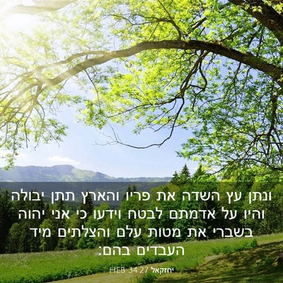 Picture 03 - יחזקאל 34:27 HEB - ונתן עץ השדה את פריו והארץ - Bible Verse Picture
