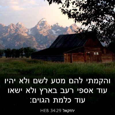 Picture 03 - יחזקאל 34:29 HEB - והקמתי להם מטע לשם ולא יהיו - Bible Verse Picture