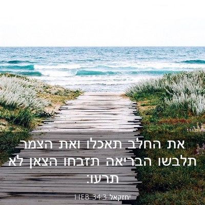 Picture 03 - יחזקאל 34:3 HEB - את החלב תאכלו ואת הצמר - Bible Verse Picture