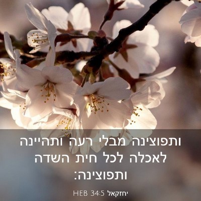 Picture 03 - יחזקאל 34:5 HEB - ותפוצינה מבלי רעה ותהיינה - Bible Verse Picture
