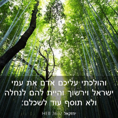 Picture 03 - יחזקאל 36:12 HEB - והולכתי עליכם אדם את עמי - Bible Verse Picture