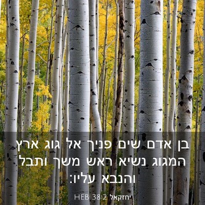 Picture 03 - יחזקאל 38:2 HEB - בן אדם שים פניך אל גוג ארץ - Bible Verse Picture