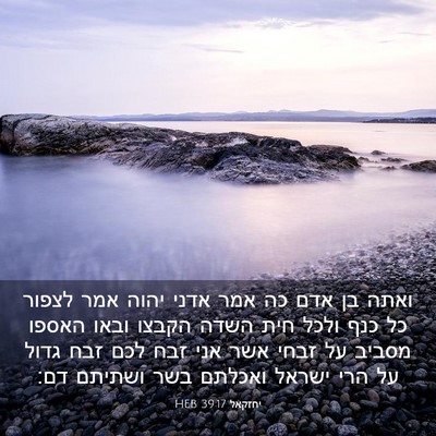 Picture 03 - יחזקאל 39:17 HEB - ואתה בן אדם כה אמר אדני - Bible Verse Picture