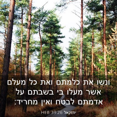 Picture 03 - יחזקאל 39:26 HEB - ונשו את כלמתם ואת כל מעלם - Bible Verse Picture
