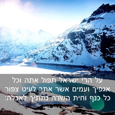 Picture 03 - יחזקאל 39:4 HEB - על הרי ישראל תפול אתה וכל - Bible Verse Picture