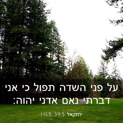 Picture 03 - יחזקאל 39:5 HEB - על פני השדה תפול כי אני - Bible Verse Picture